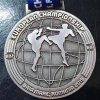 2019-3-em-silber-medaille